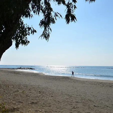 Pebble Limassol