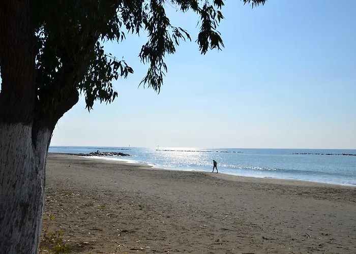 Pebble リマソール